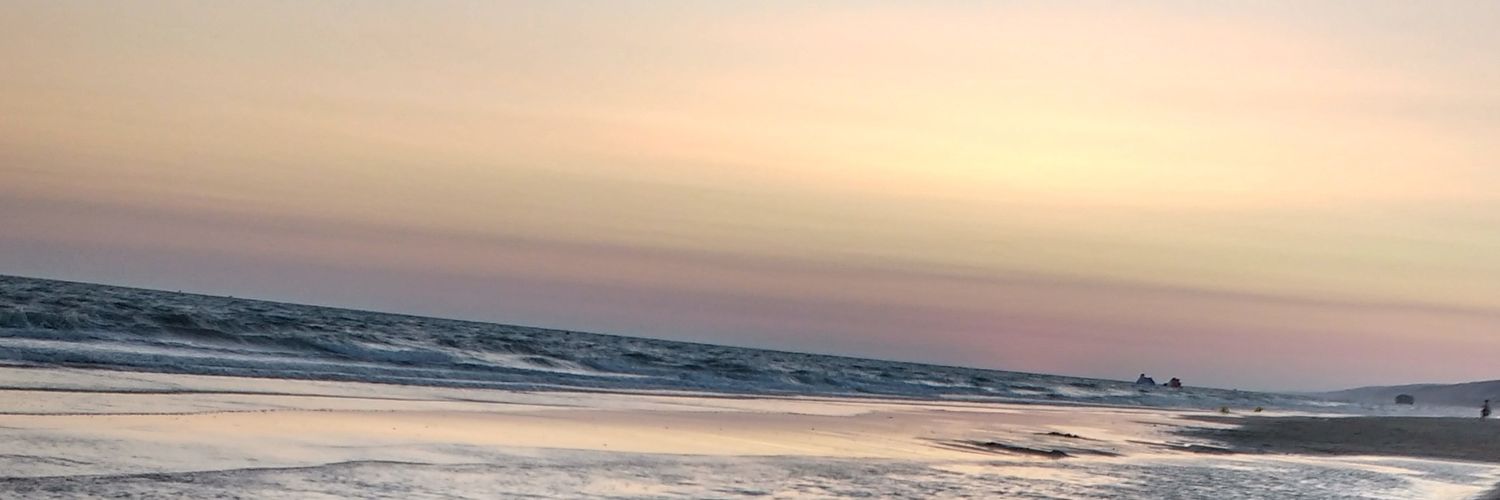 vicmebo's profile banner image