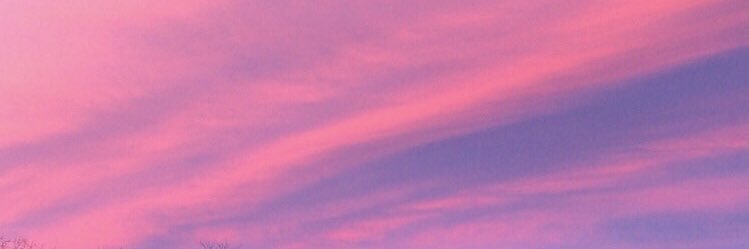 ElenaPett's profile banner image