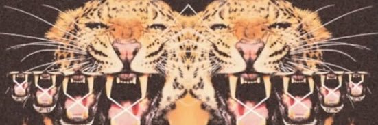 lazydistortion's profile banner image