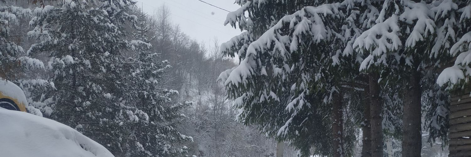 DamjanRaicevic's profile banner image