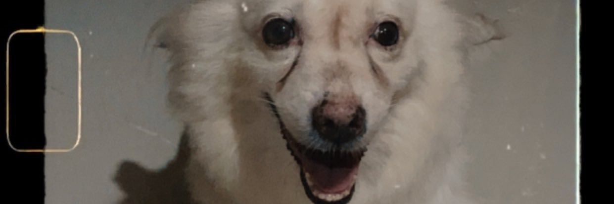 SStellyyy's profile banner image