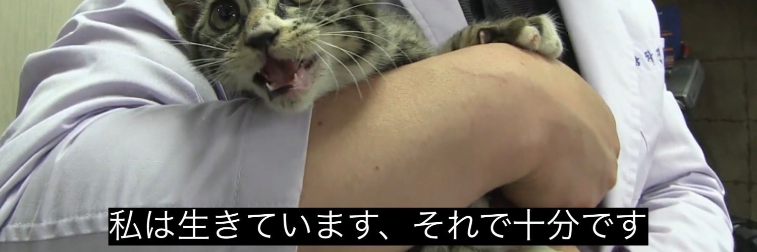 rained＠トーホー・チュー banner