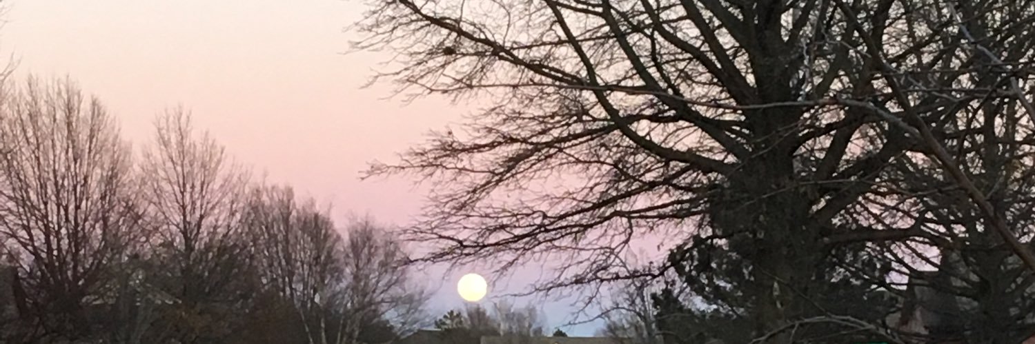 whitashlyn's profile banner image