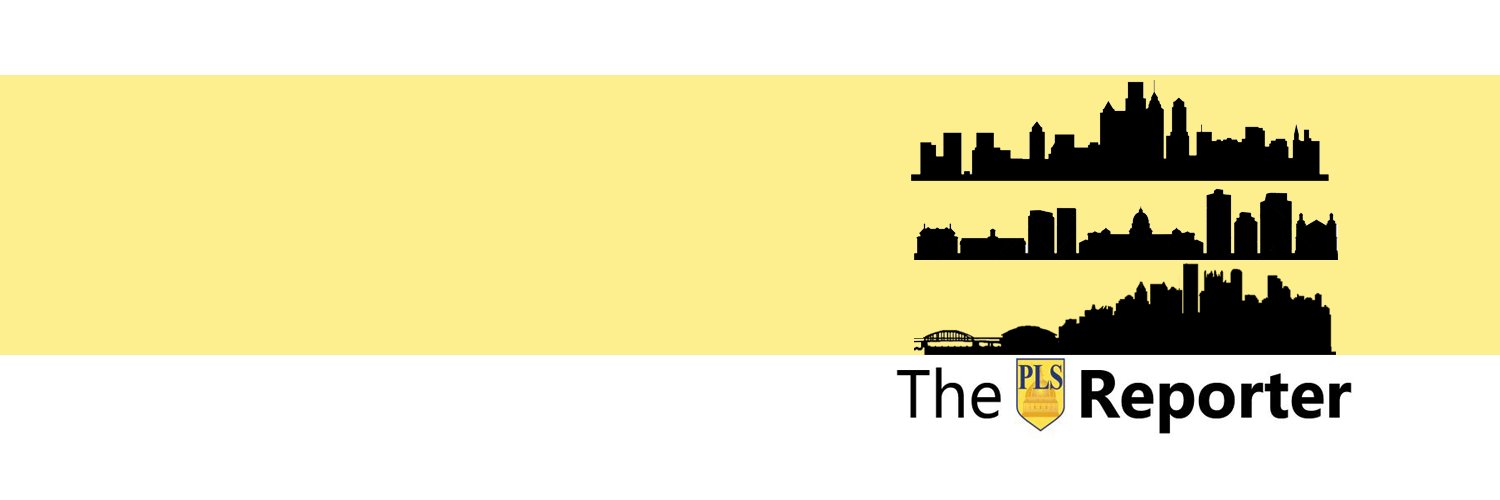 ThePLSReporter's profile banner image