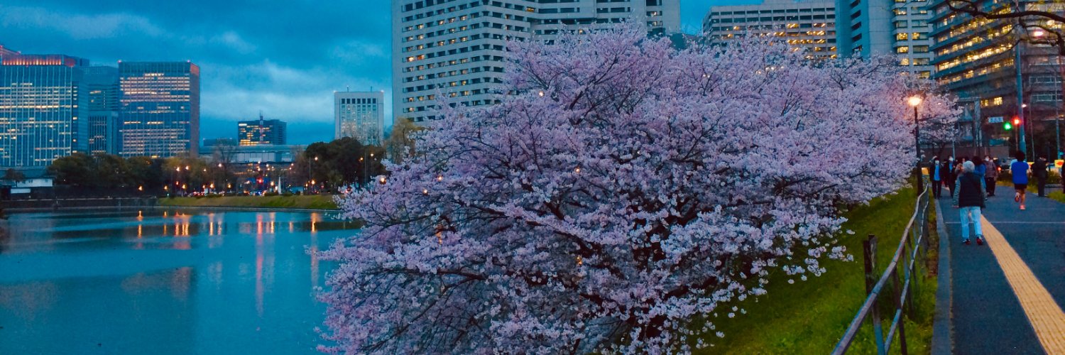 amalfull1000's profile banner image