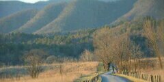 loshe2009's profile banner image