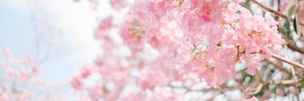 DuckExo's profile banner image