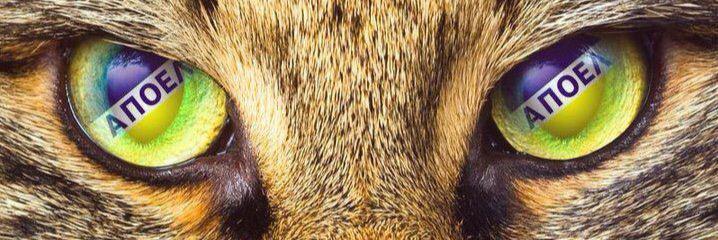 RamiCyprus's profile banner image