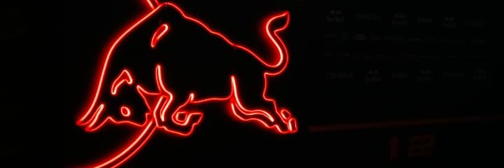 steadystatee's profile banner image