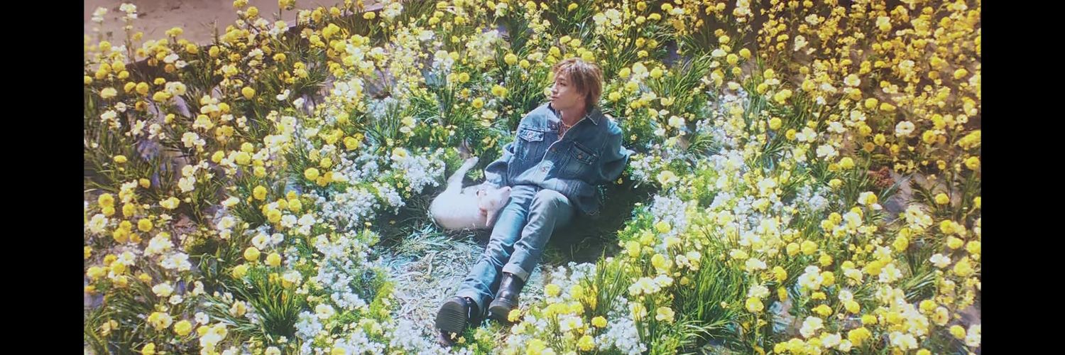Percy 🐻⚡ banner