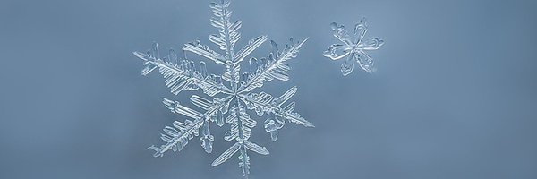 cherrymaxis Profile Banner