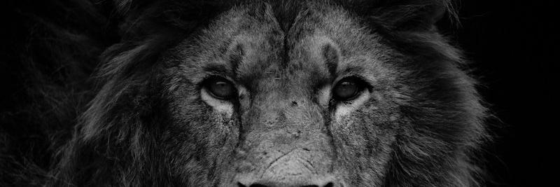 khushmyla's profile banner image