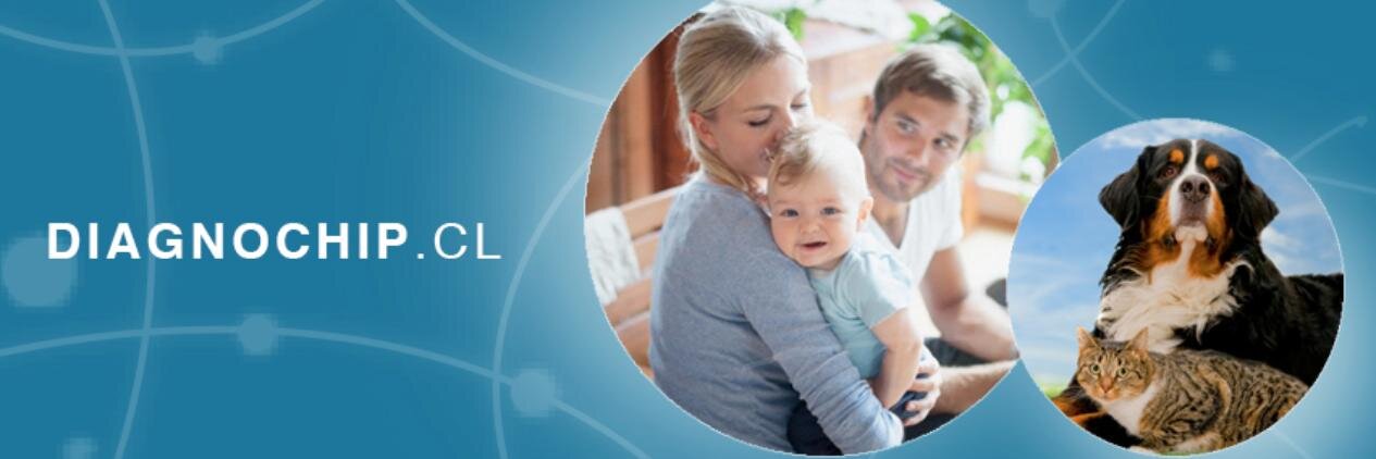 Diagnochip banner