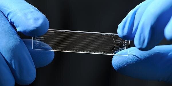 McArdle Laboratory banner