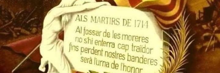 ANA ORTEGA ROMERO banner