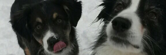 nm_hicks's profile banner image