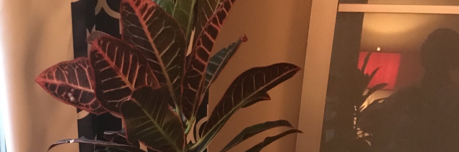 Betopless's profile banner image
