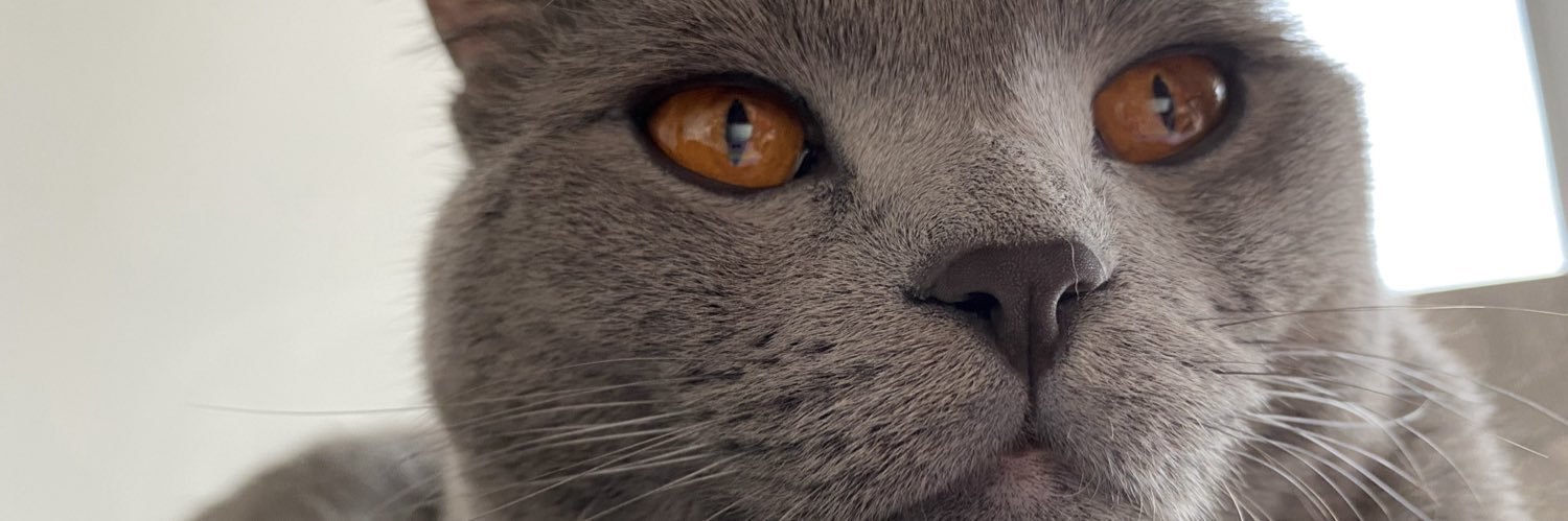 Ozgeulugg's profile banner image