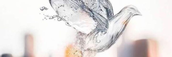 AysuAlpay's profile banner image