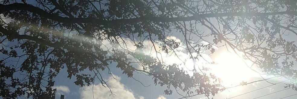 LisaMshubb818's profile banner image