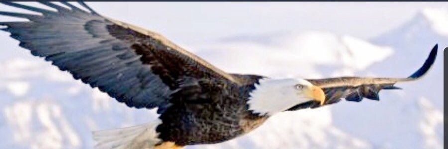 cherylnwarner's profile banner image