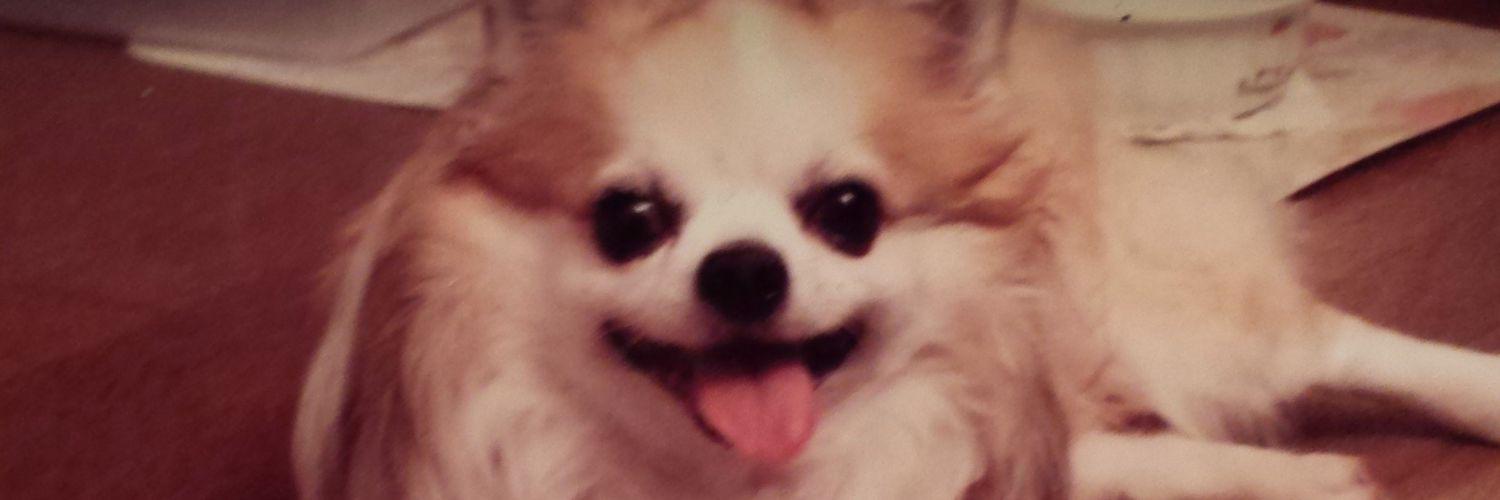 brutusparty's profile banner image