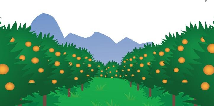 KBFruit's profile banner image