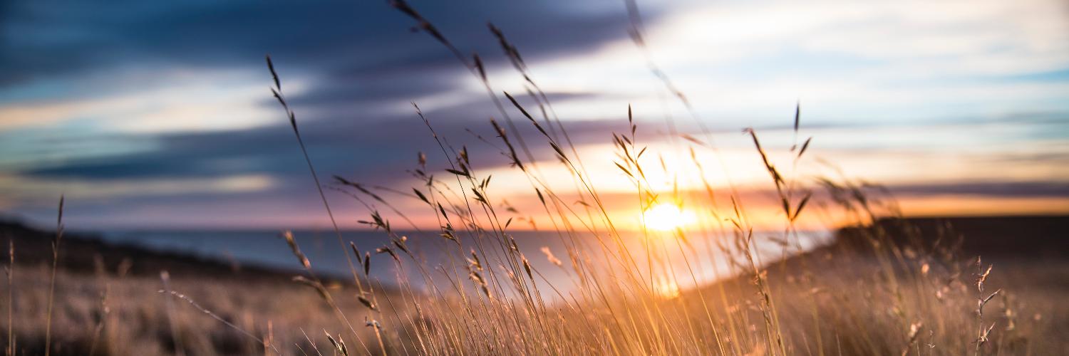 NatureVest's profile banner image