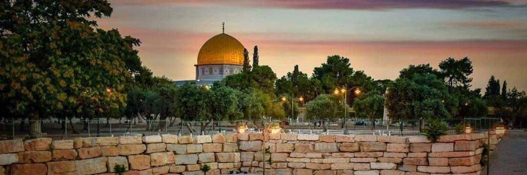 AhedOlwan's profile banner image