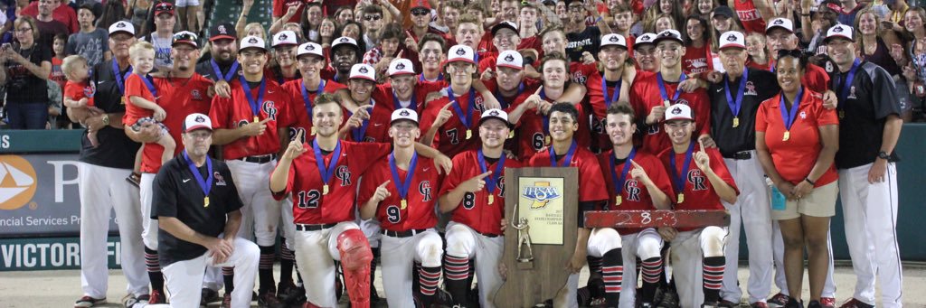 Cardinal Ritter Raiders Baseball banner
