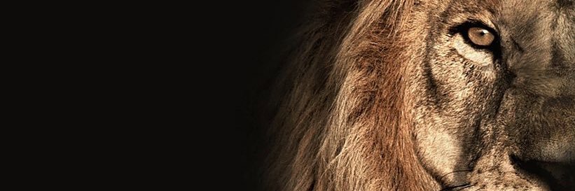 RelhaVista's profile banner image