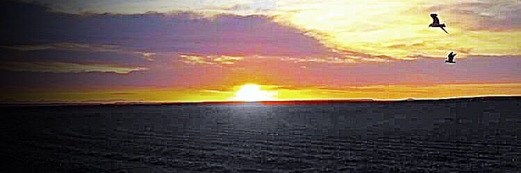 Dustin Pfeiff banner