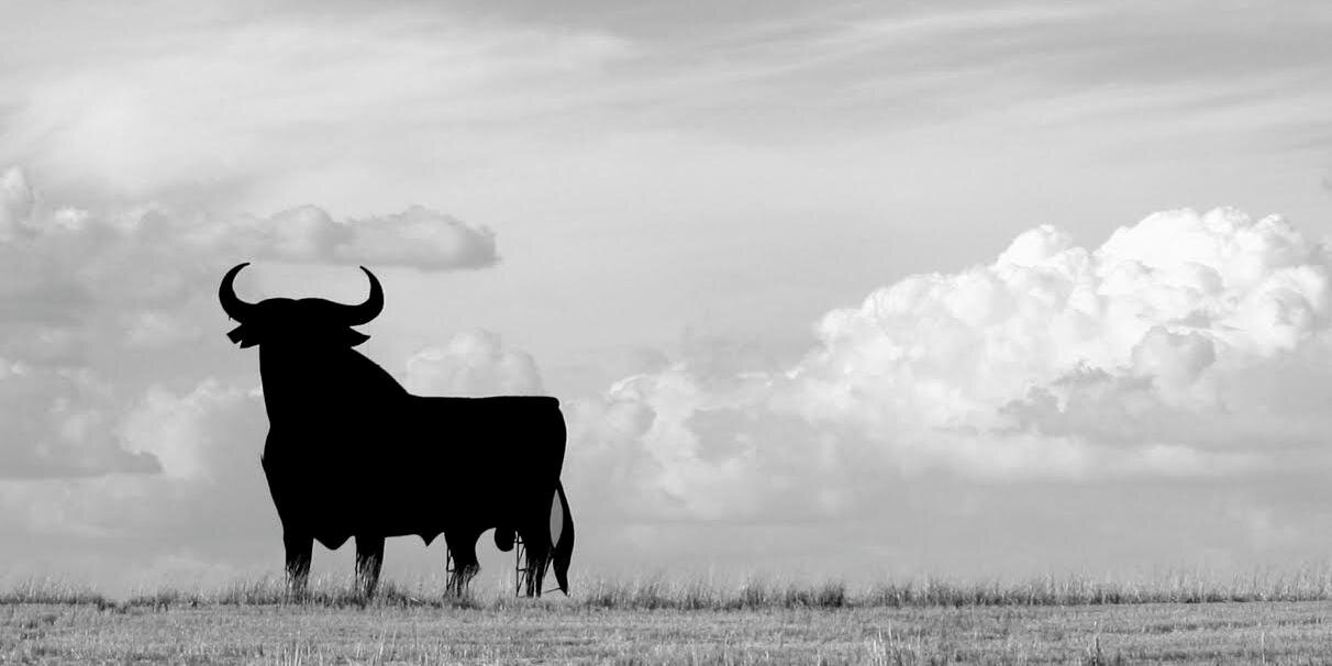 KottochBar's profile banner image