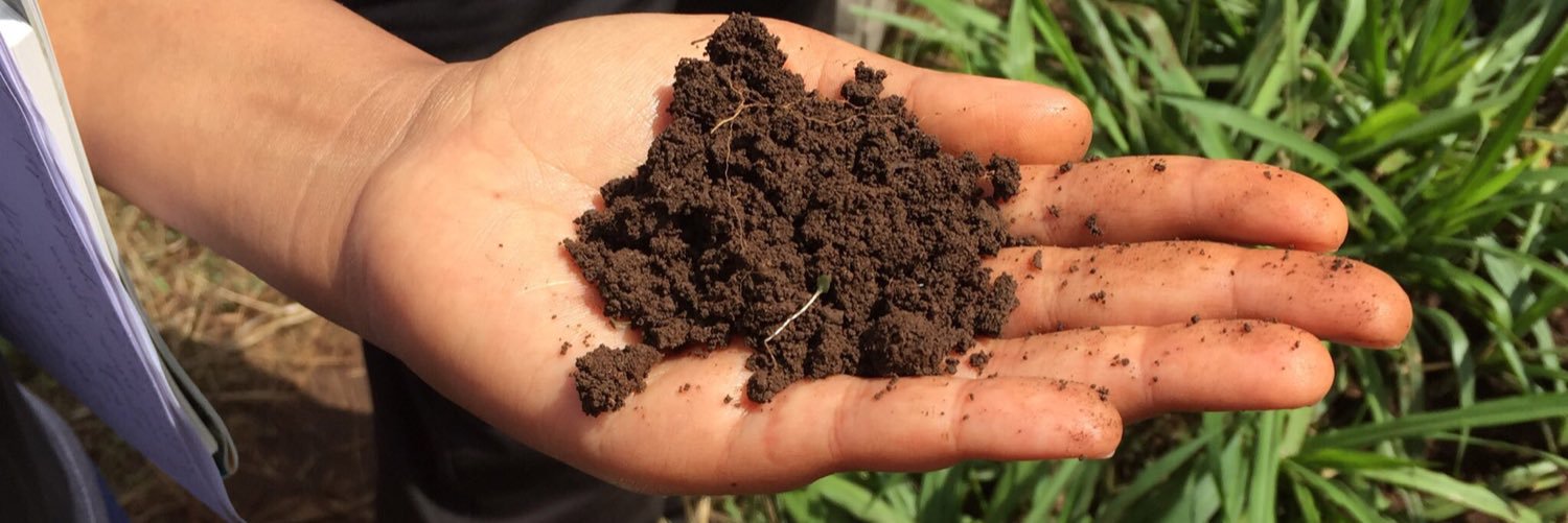 Marla Riekman banner