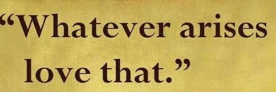 Ninja X ®️™️ banner