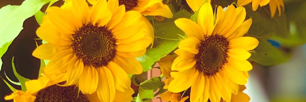 beenevs's profile banner image