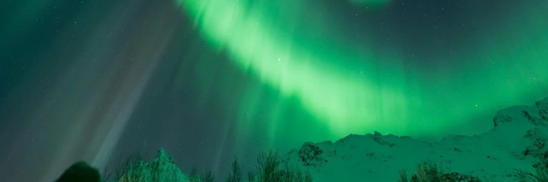 arli_ani's profile banner image