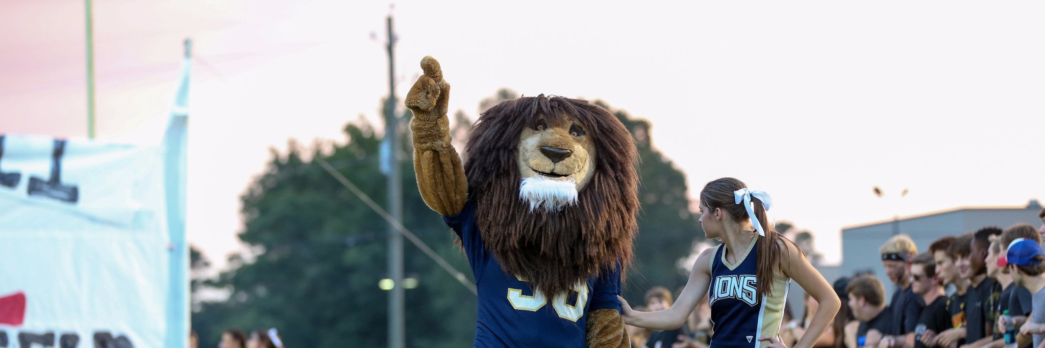 BCS_Lions's profile banner image