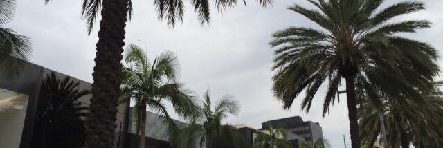 amazez_'s profile banner image