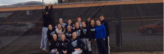 ladyGsoftball's profile banner image