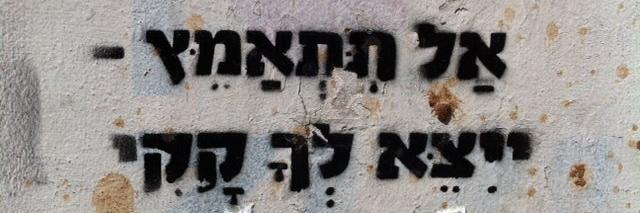 alon katz banner