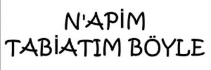 talipgull's profile banner image