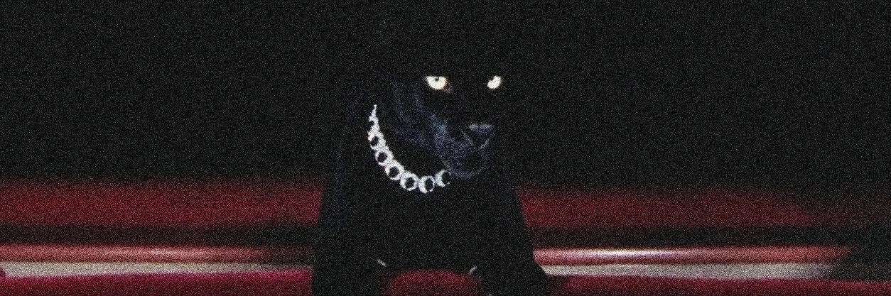 LeWJR10's profile banner image