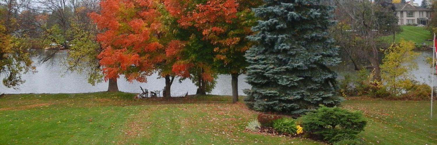 MEPnowtweets's profile banner image