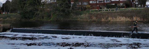 ppsurveys Profile Banner