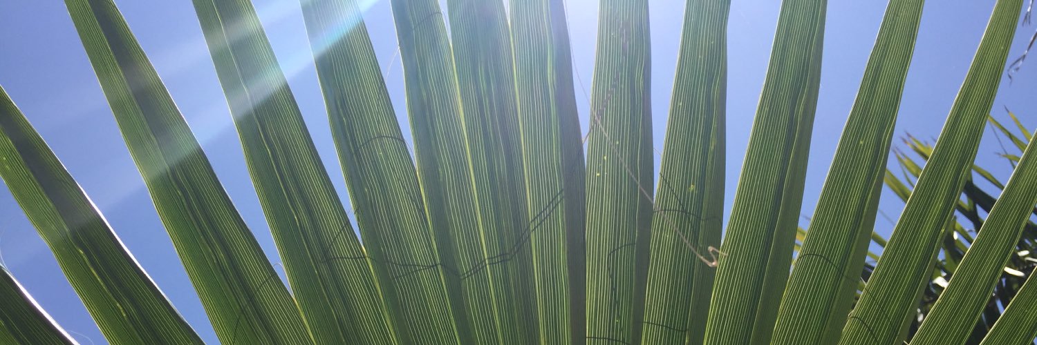 gap_gregg's profile banner image