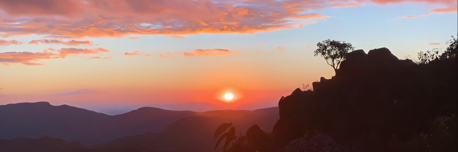 PaolinelliBrisa's profile banner image