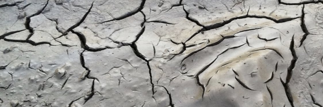 | xpeten 🇪🇺| banner