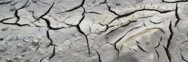 xpeten Profile Banner