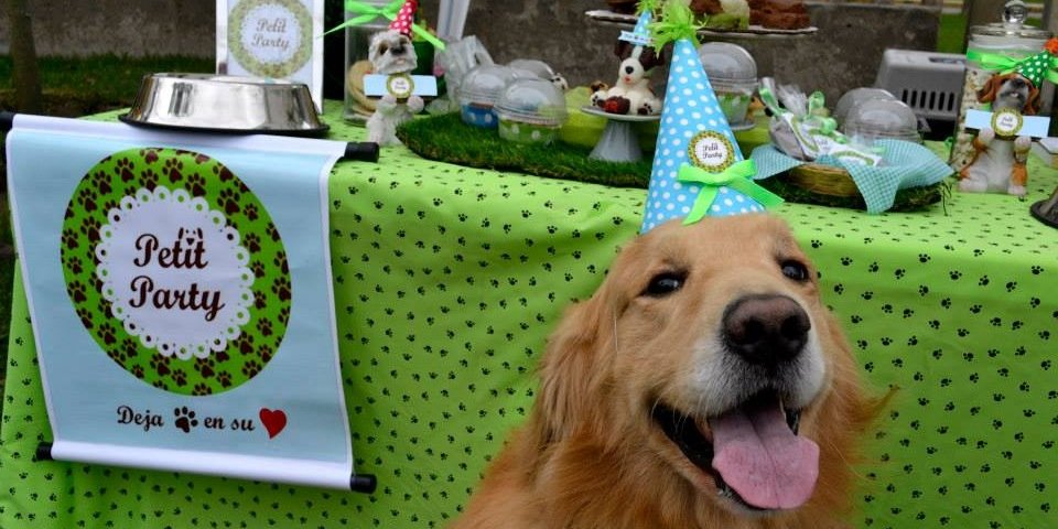 petitpartyperu's profile banner image